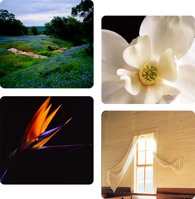 About Banner Image 500x500