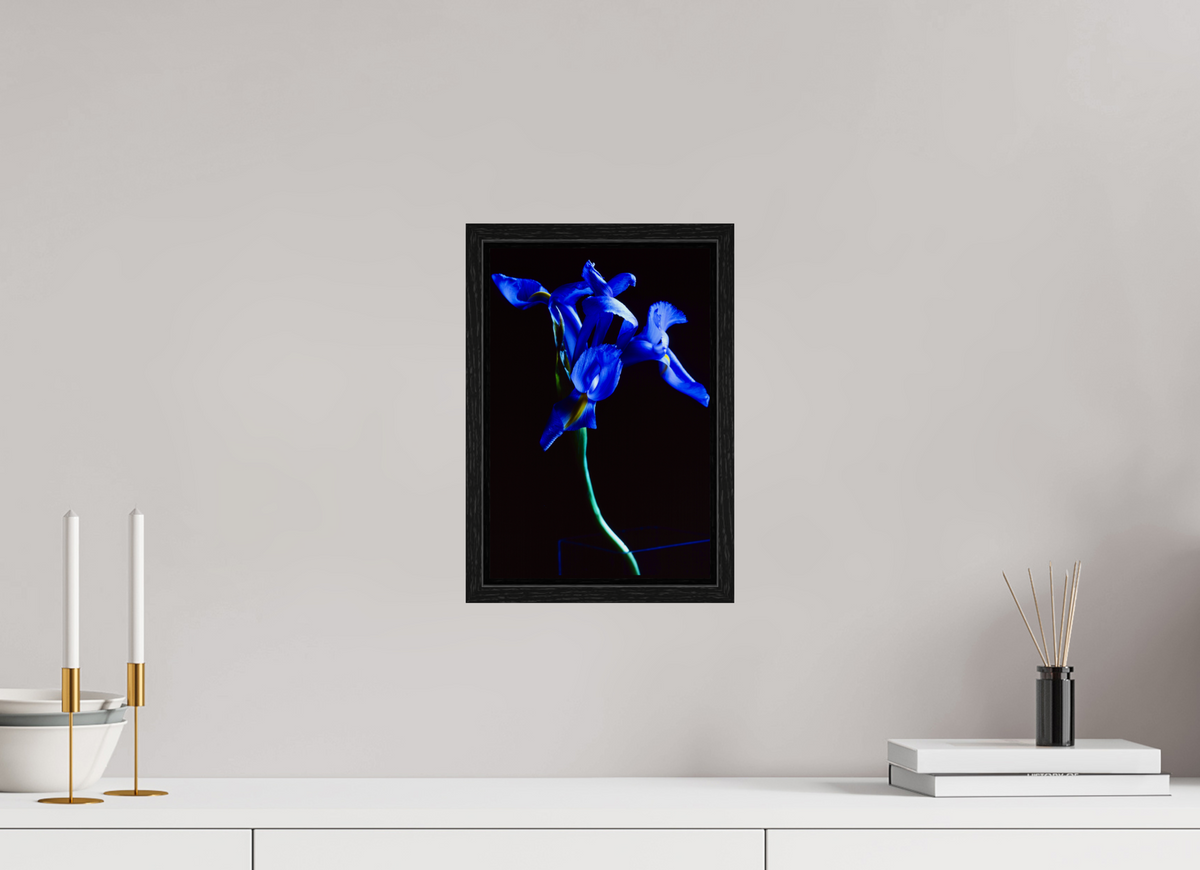8 x 12″, Floater Frame Blue Iris single