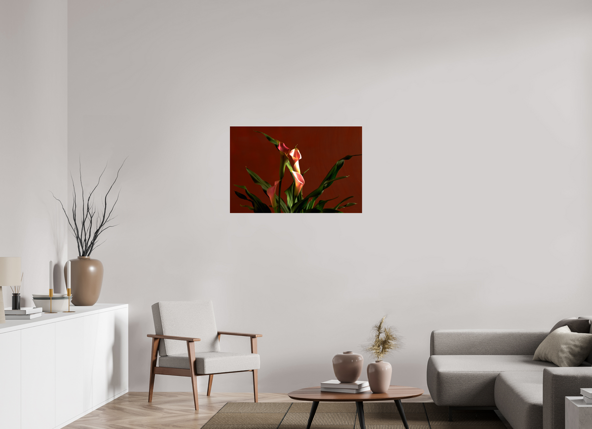 36.6 x 24″, Photo Print Under Acrylic Glass A study in Peach
