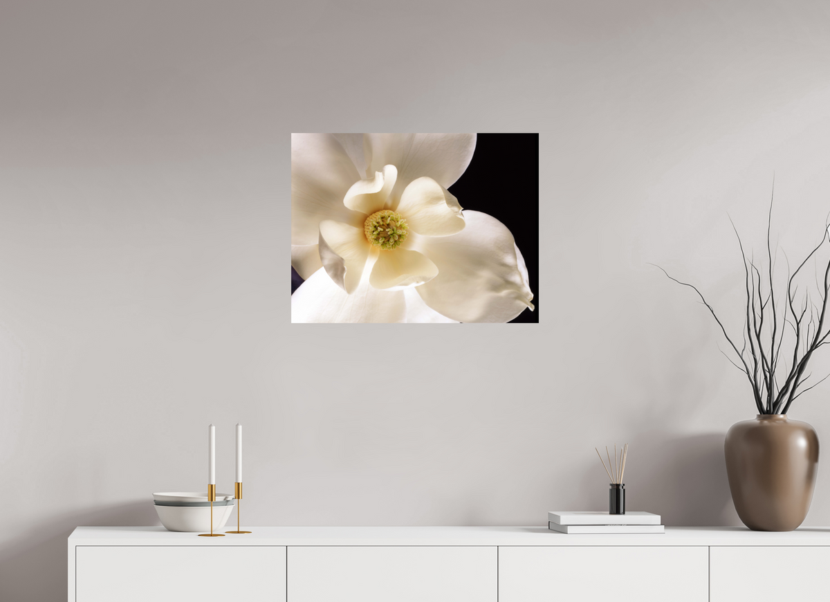 26.1 x 20″, Photo Print On Fuji Crystal DP II Magnolia