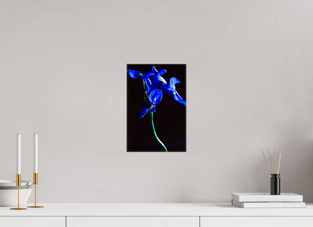 8 x 12″, Canvas Blue Iris single