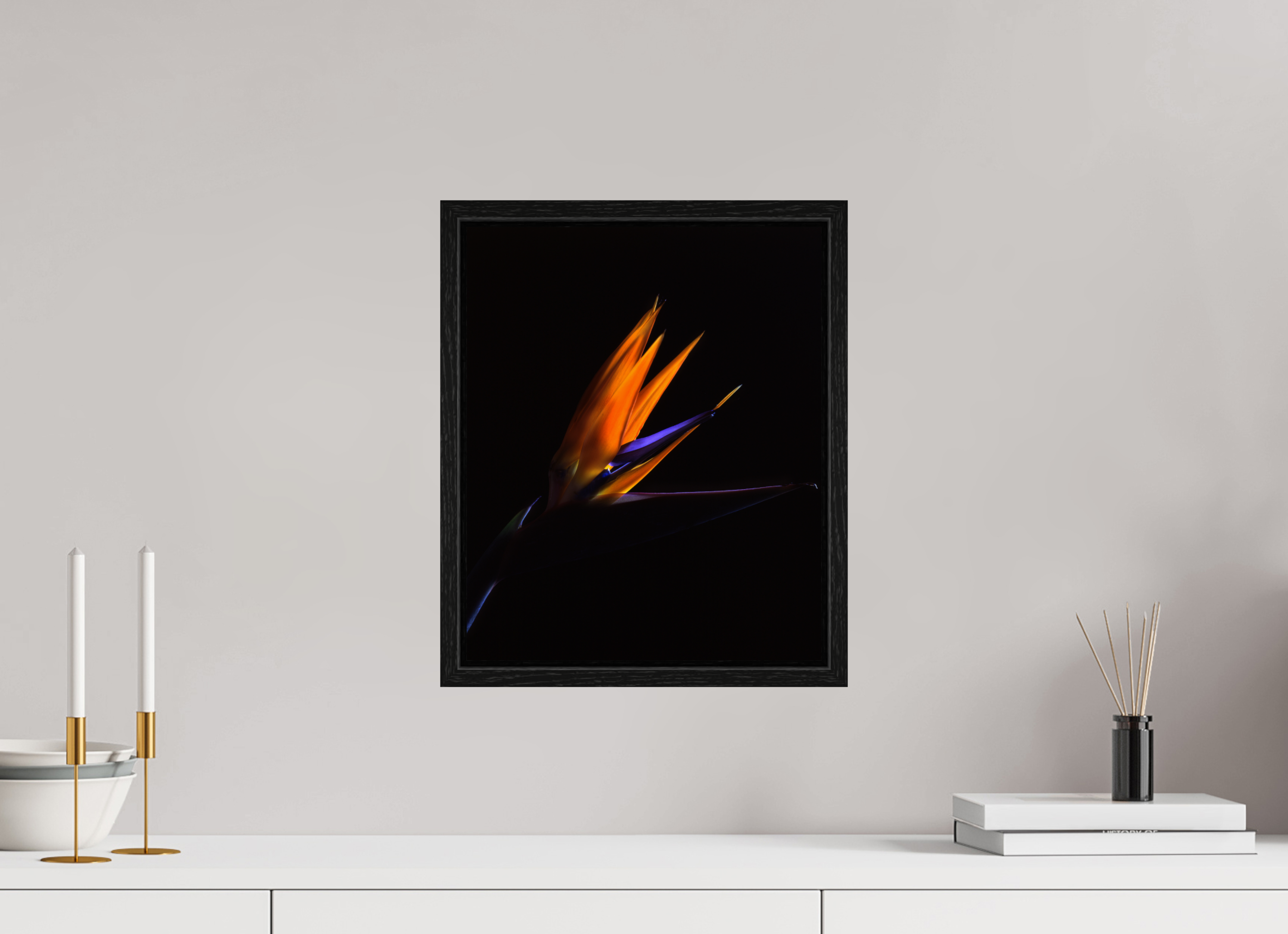 12 x 14.7″, Floater Frame Bird of Paradise