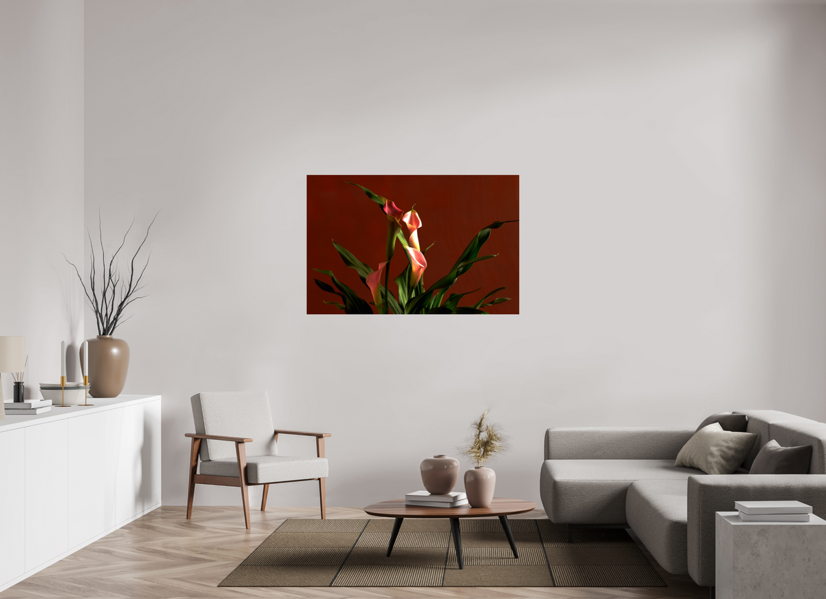 53.4 x 35″, Photo Print On Fuji Crystal DP II A study in Peach
