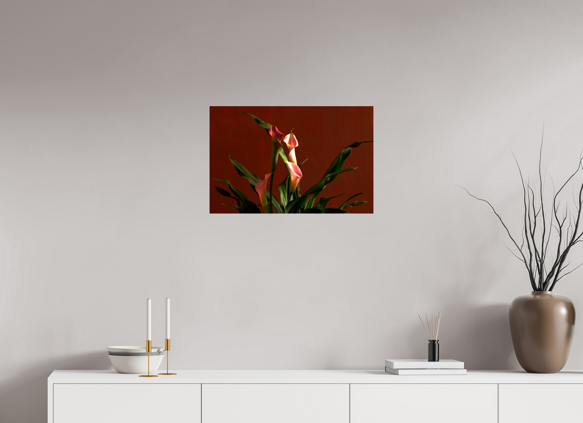 24.4 x 16″, Photo Print Under Acrylic Glass A study in Peach