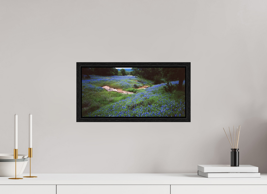 16.9 x 8″, Floater Frame Bluebonnet Field