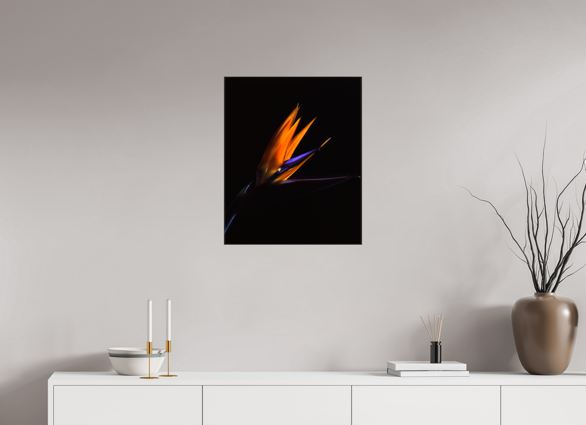 20 x 24.4″, Canvas Bird of Paradise