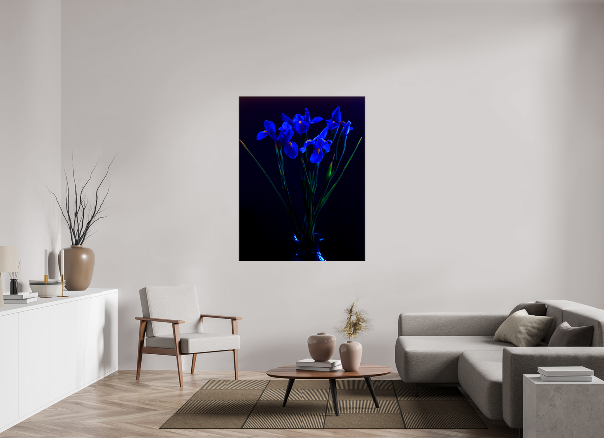 43 x 56″, Canvas Blue