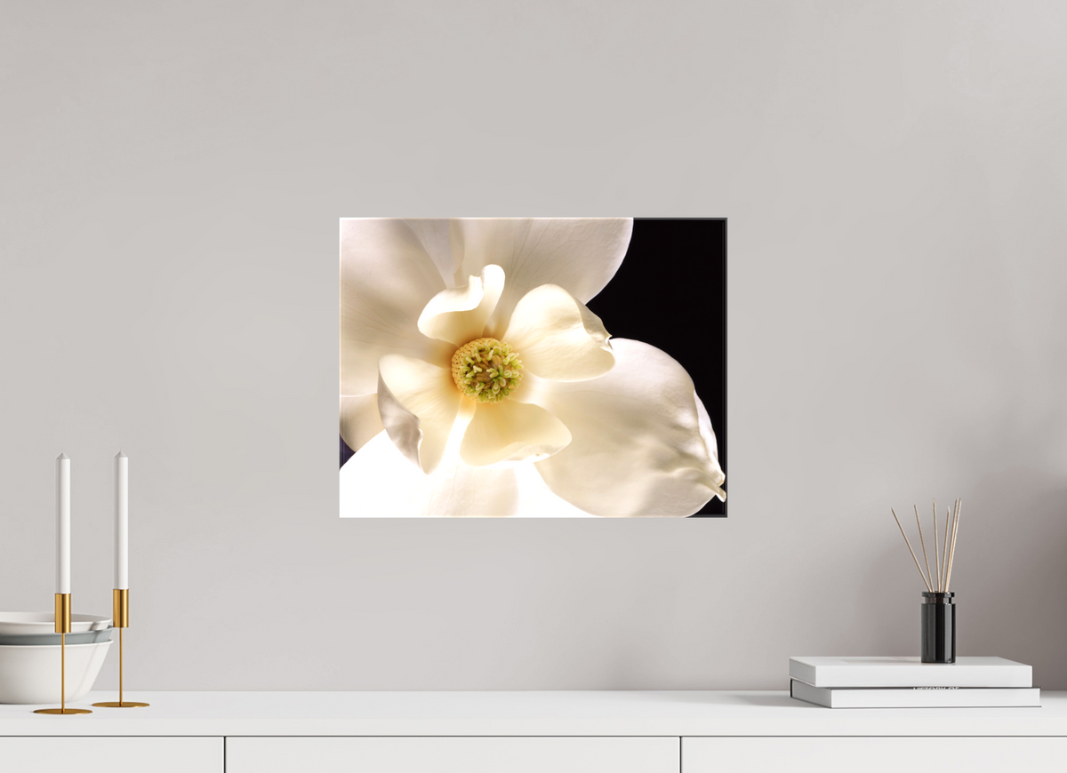 15.6 x 12″, Canvas Magnolia