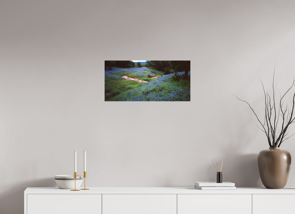 25.2 x 12″, Photo Print Under Acrylic Glass Bluebonnet Field