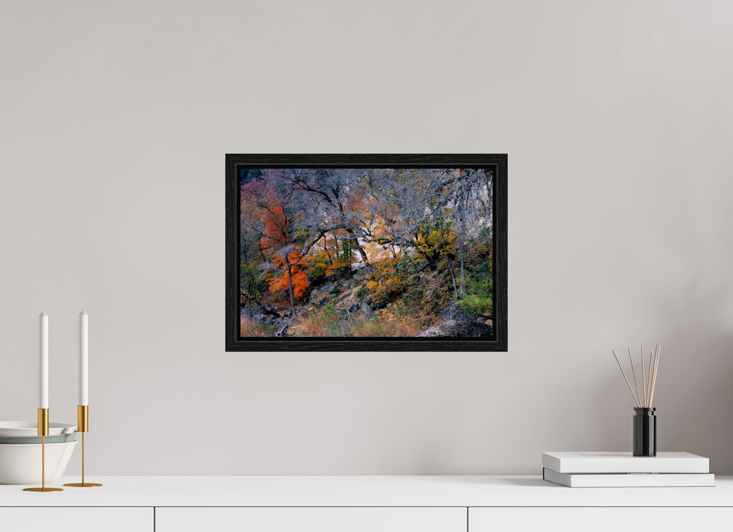 15 x 10″, Floater Frame Lost Maples