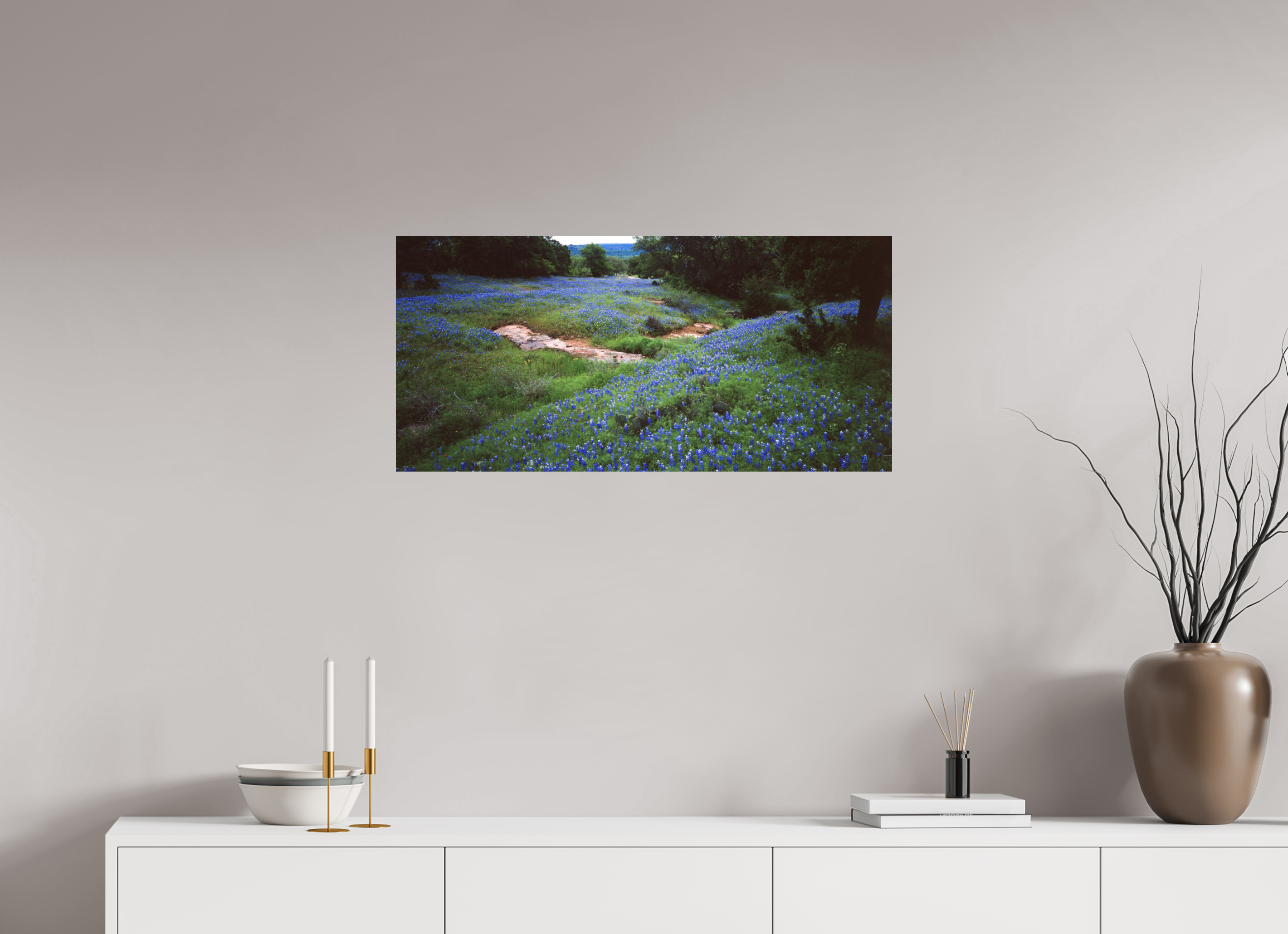 33.7 x 16″, Photo Print On Fuji Crystal DP II Bluebonnet Field