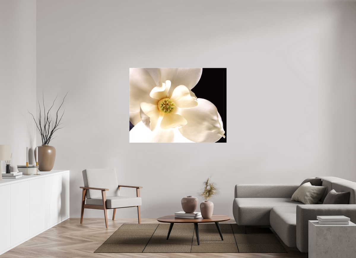 56 x 43″, Canvas Magnolia