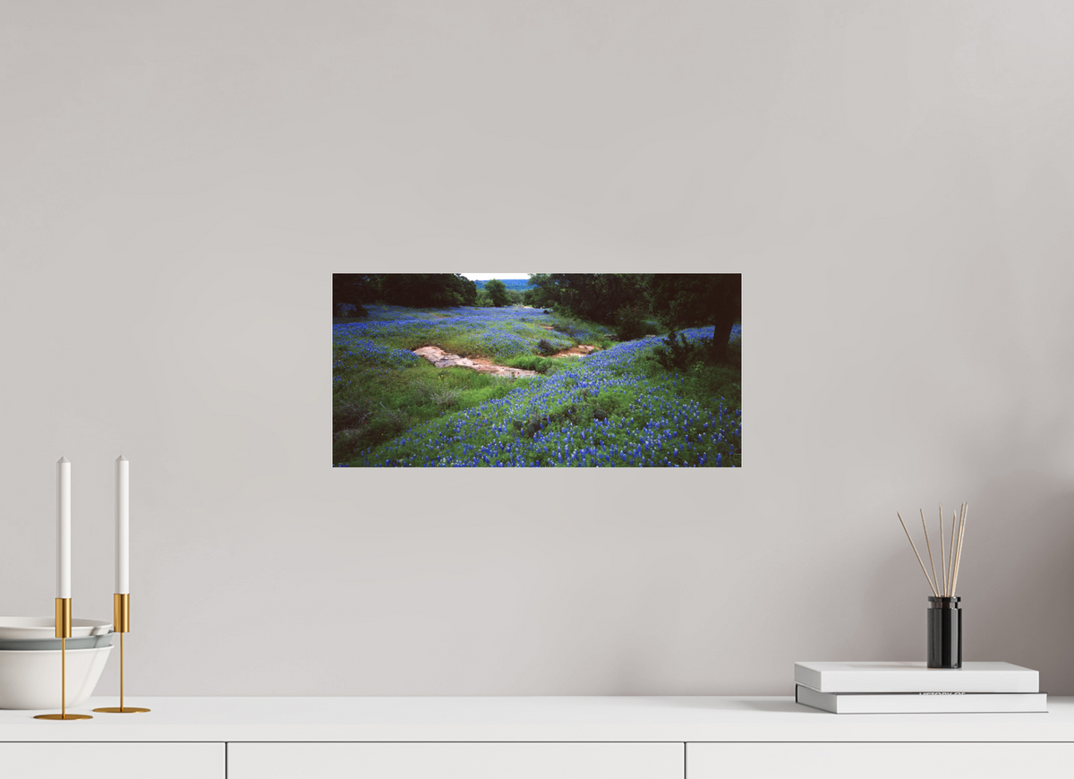 16.9 x 8″, Photo Print Under Acrylic Glass Bluebonnet Field