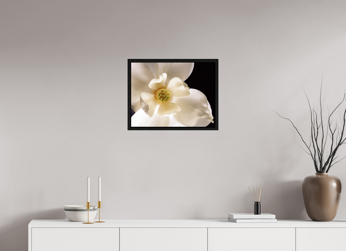 20.8 x 16″, Floater Frame Magnolia