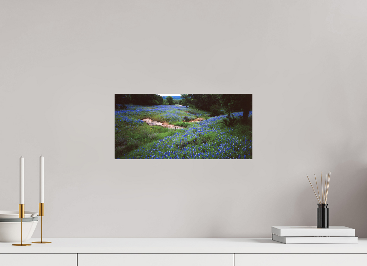 16.9 x 8″, Photo Print On Fuji Crystal DP II Bluebonnet Field