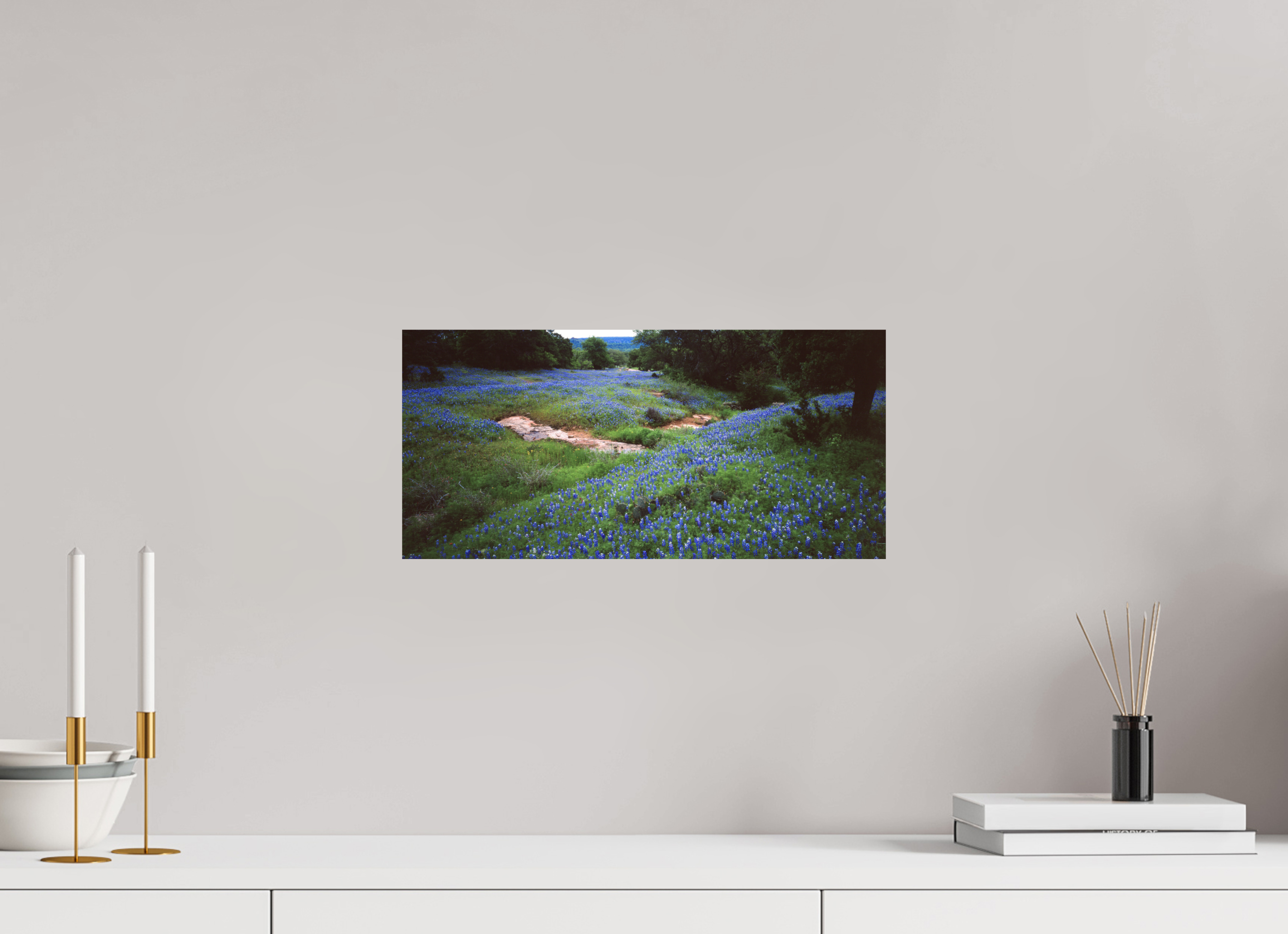 16.9 x 8″, Photo Print On Fuji Crystal DP II Bluebonnet Field