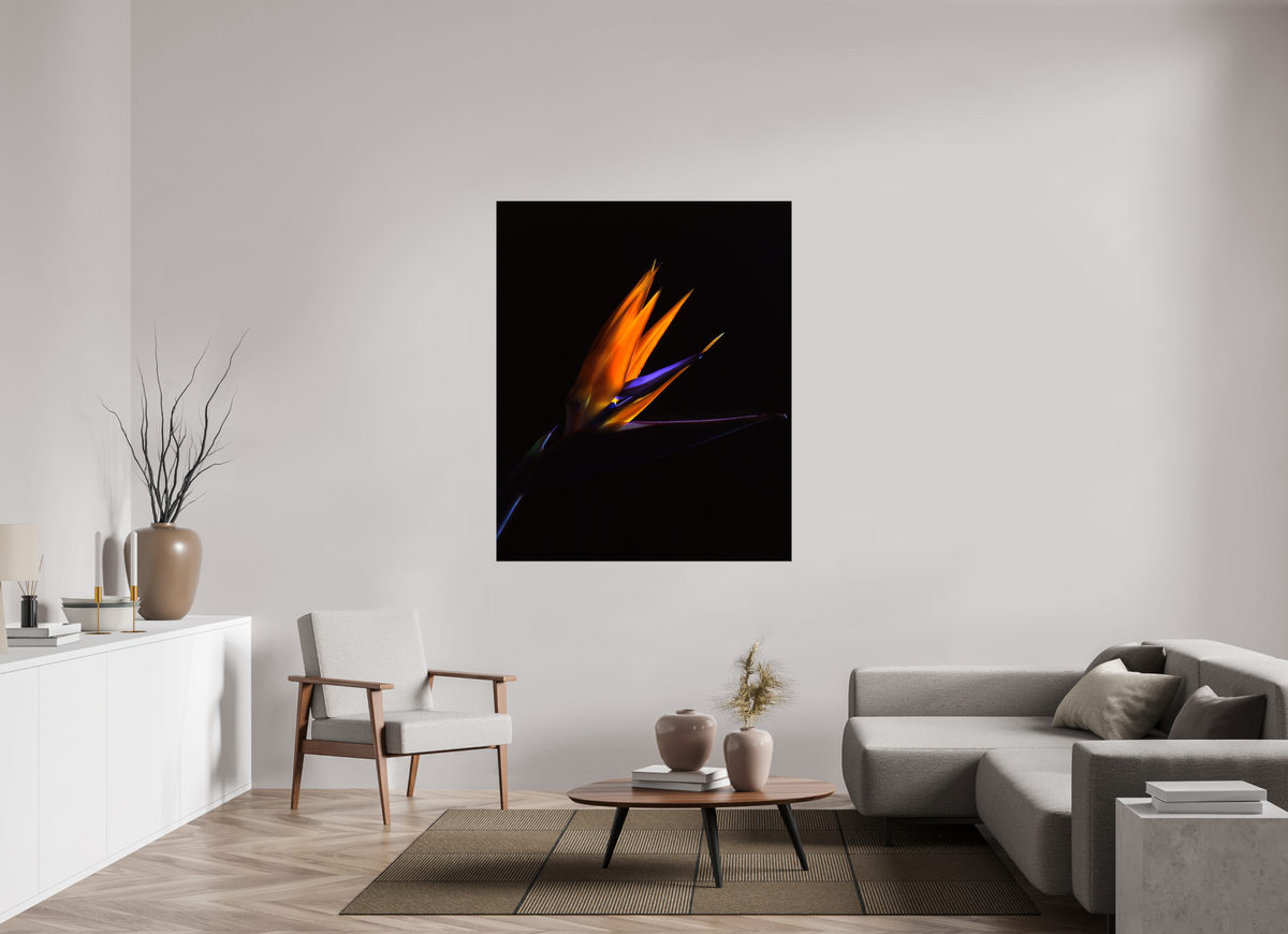 47 x 57.4″, Canvas Bird of Paradise