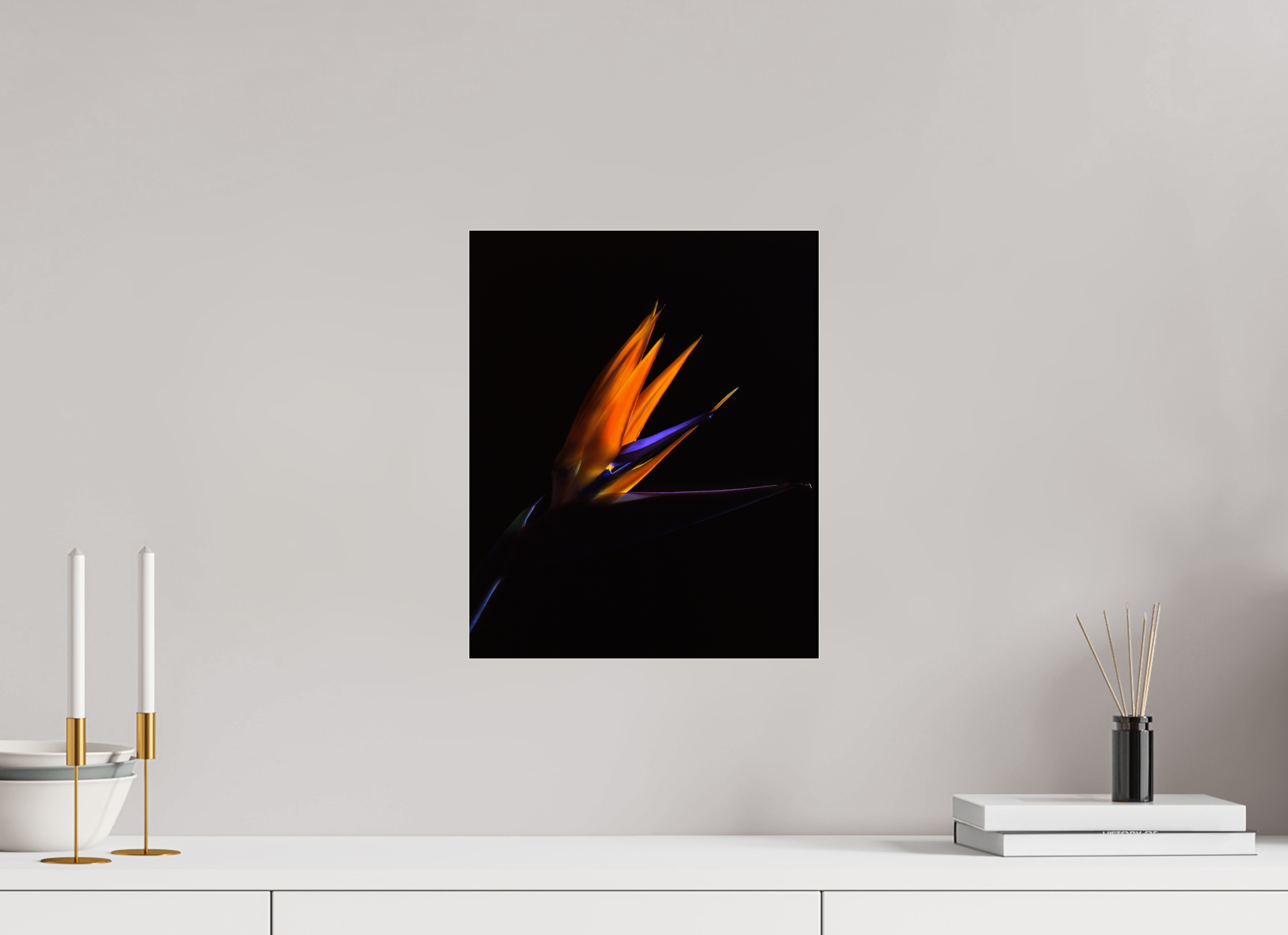 12 x 14.7″, Photo Print Under Acrylic Glass Bird of Paradise