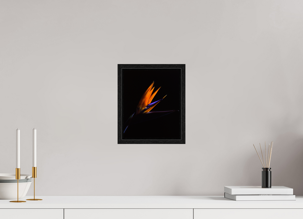 8 x 9.8″, Floater Frame Bird of Paradise