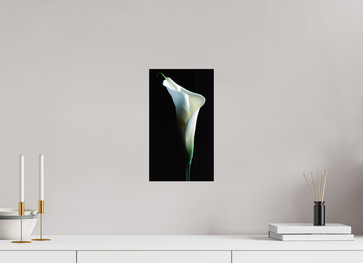 8 x 13.9″, Photo Print On Fuji Crystal DP II Calla Lilly