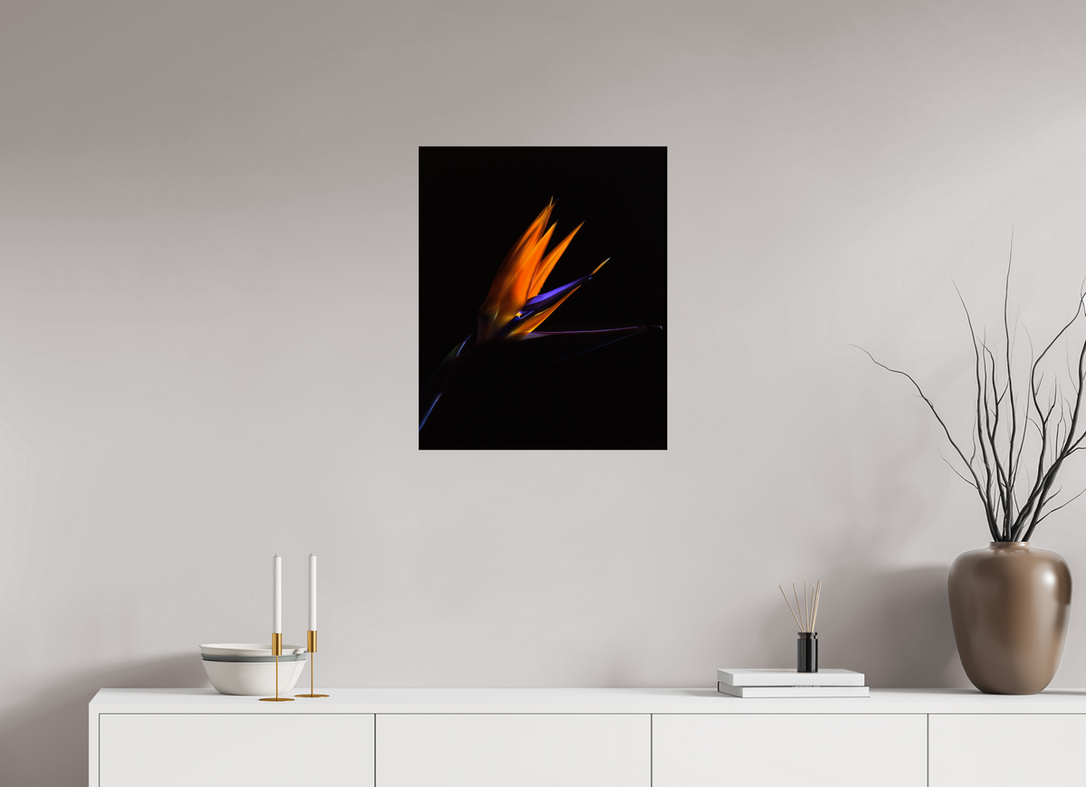20 x 24.4″, Photo Print On Fuji Crystal DP II Bird of Paradise