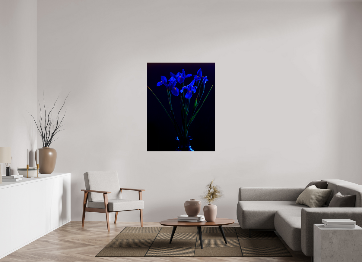 39 x 50.8″, Photo Print Under Acrylic Glass Blue