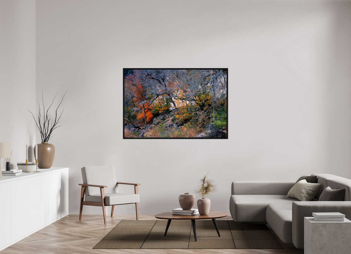 60 x 40″, Floater Frame Lost Maples