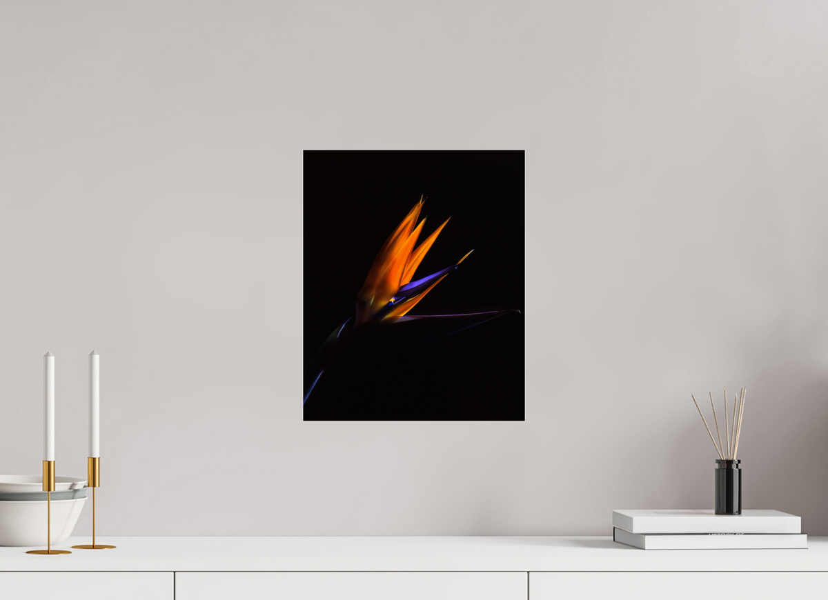 12 x 14.7″, Photo Print On Fuji Crystal DP II Bird of Paradise