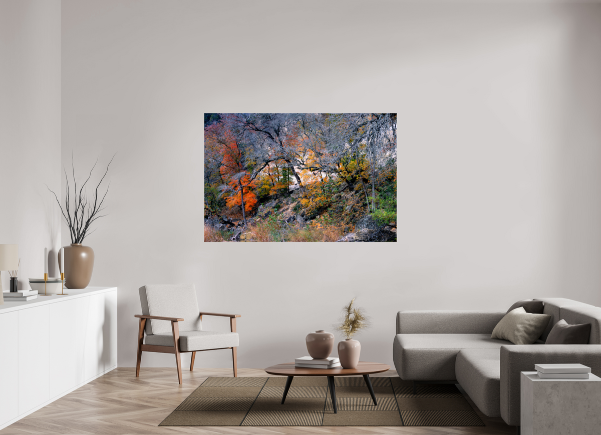 66 x 44″, Canvas Lost Maples
