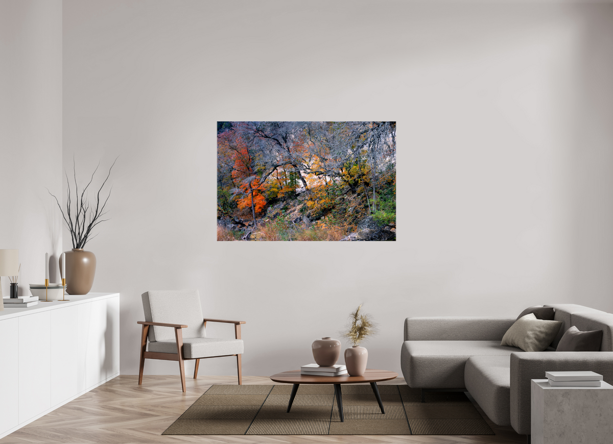 60 x 40″, Canvas Lost Maples