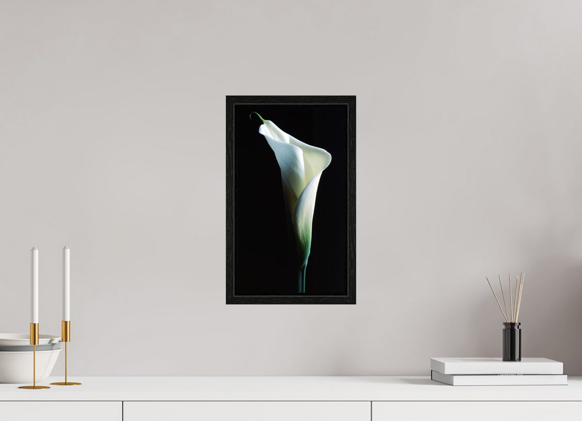 8 x 13.9″, Floater Frame Calla Lilly