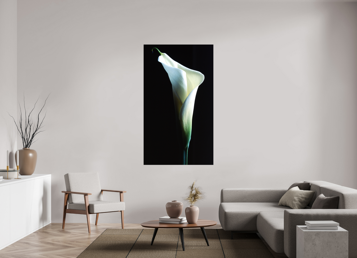 39 x 67.8″, Canvas Calla Lilly