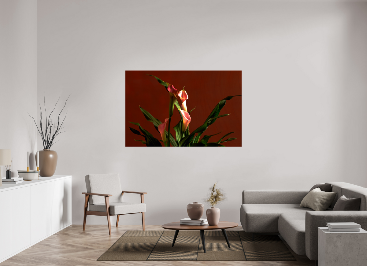 65.6 x 43″, Photo Print Under Acrylic Glass A study in Peach