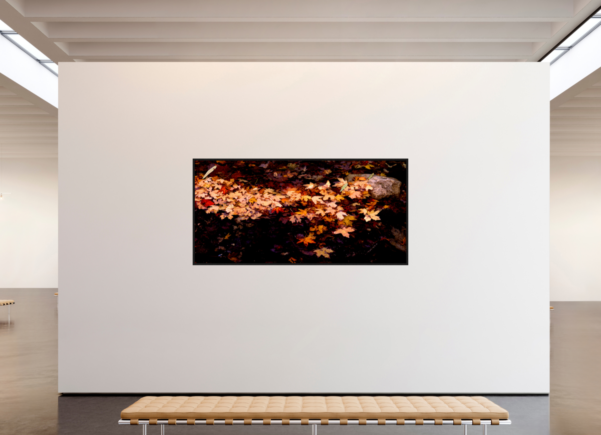 88.5 x 43″, Floater Frame Autumn Leaves