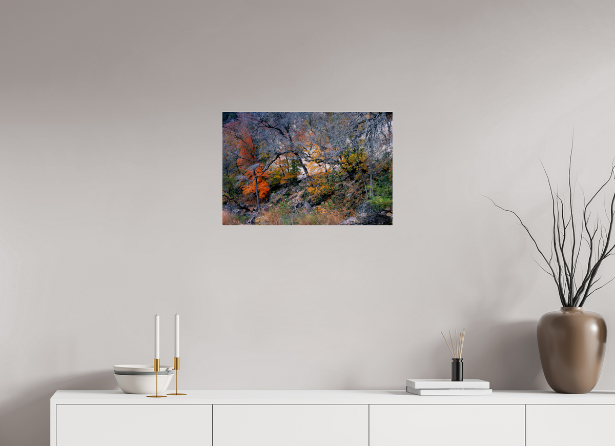 24 x 16″, Photo Print Under Acrylic Glass Lost Maples