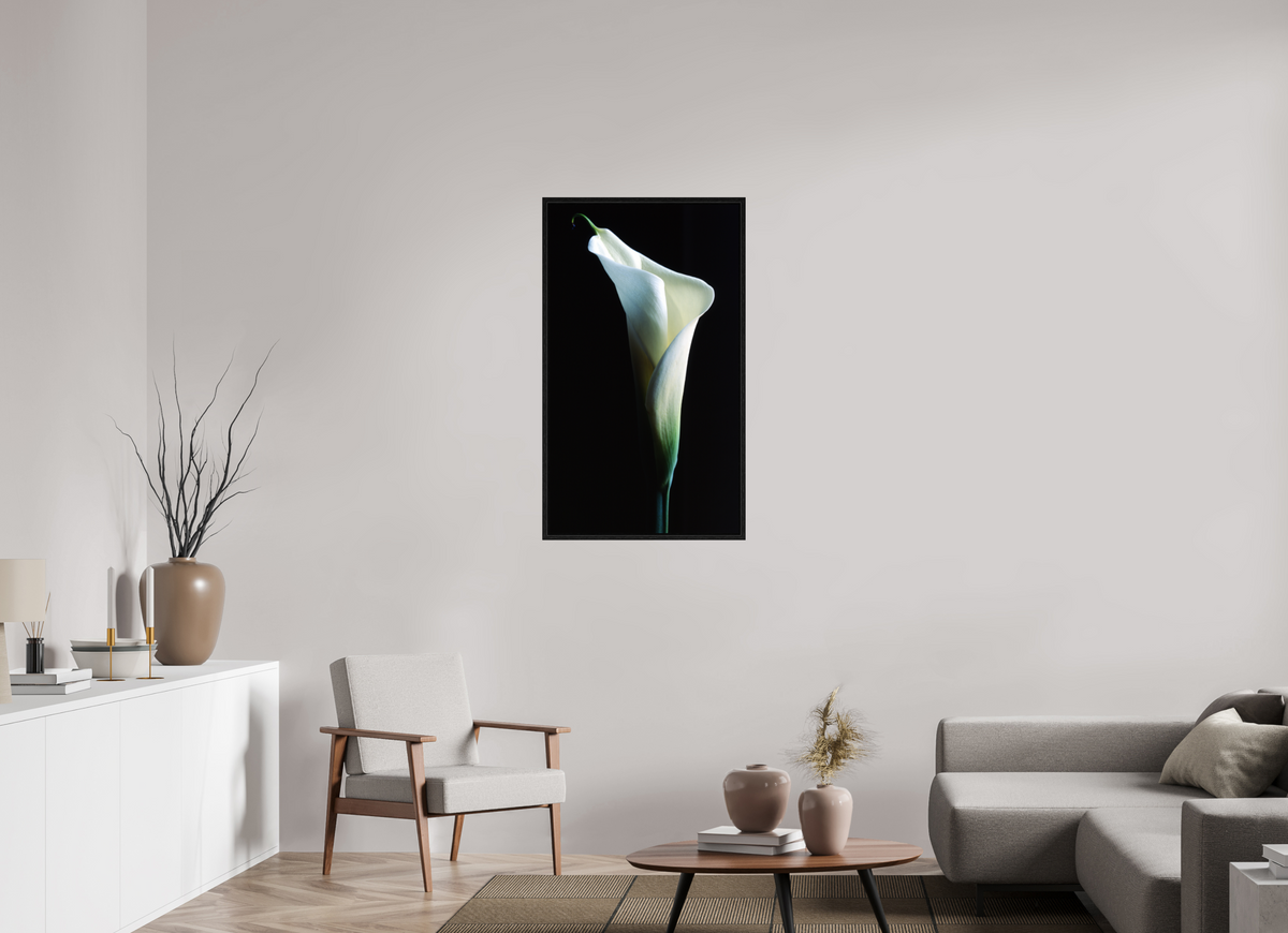 24 x 41.7″, Floater Frame Calla Lilly