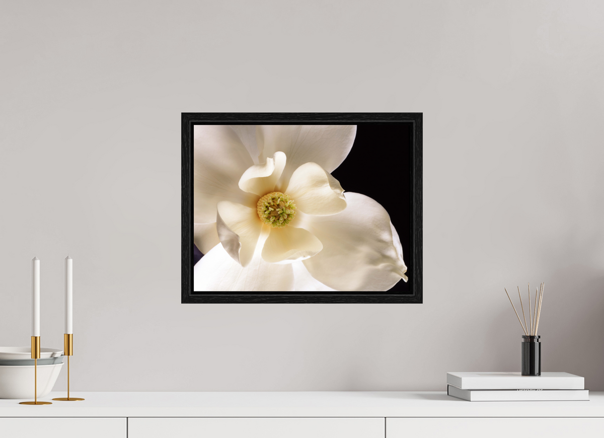 15.6 x 12″, Floater Frame Magnolia