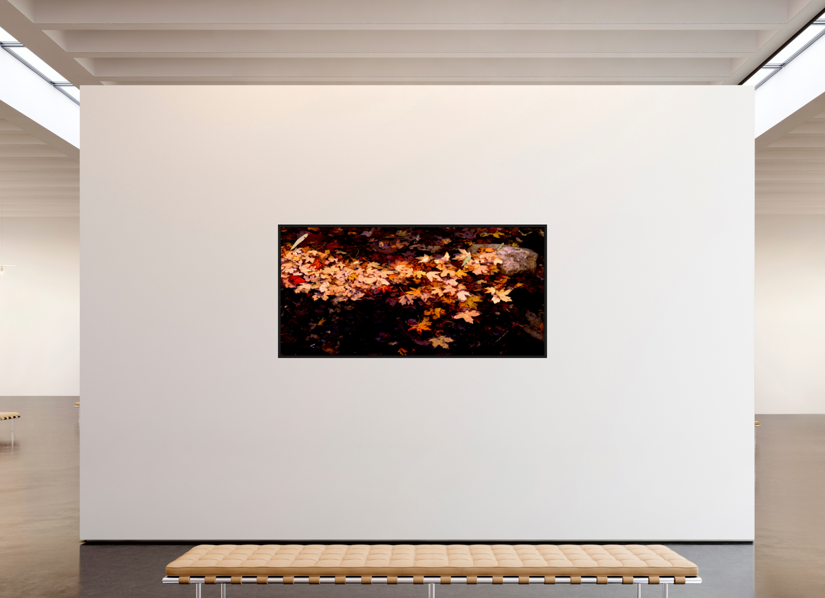 80.3 x 39″, Floater Frame Autumn Leaves